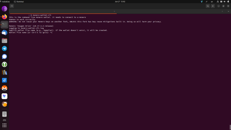 The Monero Wallet CLI prompting for a wallet on first launch
